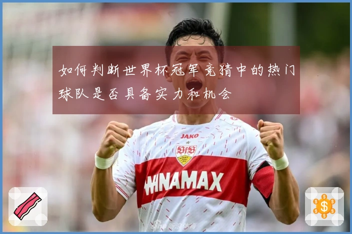如何判断世界杯冠军竞猜中的热门球队是否具备实力和机会