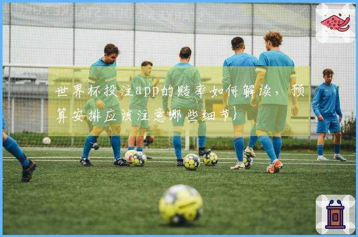 世界杯投注app的赔率如何解读，预算安排应该注意哪些细节}