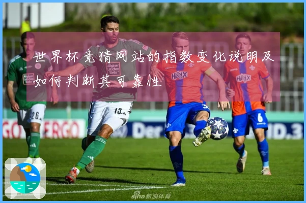 世界杯竞猜网站的指数变化说明及如何判断其可靠性