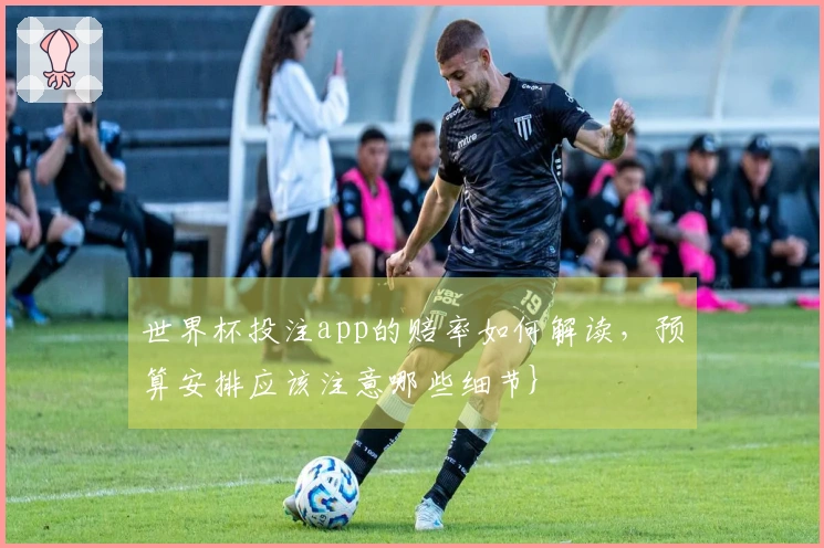 世界杯投注app的赔率如何解读，预算安排应该注意哪些细节}