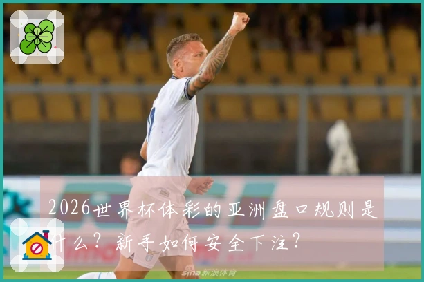 2026世界杯体彩的亚洲盘口规则是什么？新手如何安全下注？