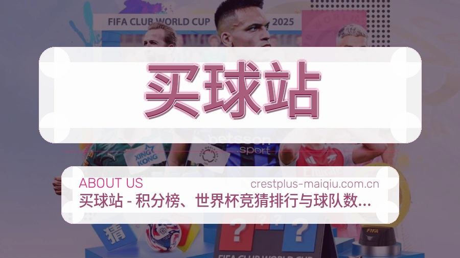 买球站 品牌介绍图